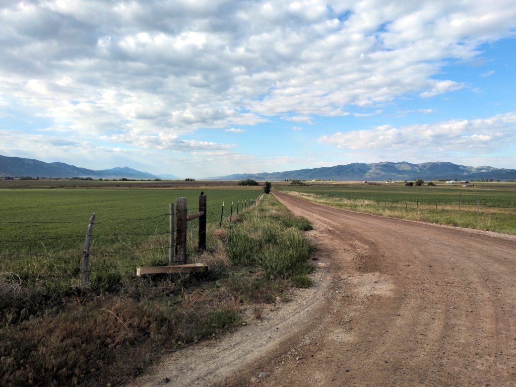 Quiet dirt farm road through grassland just past Aid Station 2 on the Malad Valley Marathon course.